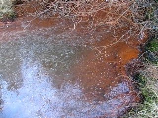 Source mystérieuse à Super-Besse, Auvergne 🌿