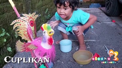 Bermain sama ayam jago | bagian 2 | seru | lucu | menggemaskan | Alesha and Family |
