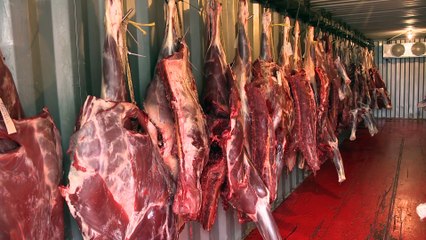 18 oct TOPO PG saison de la chasse