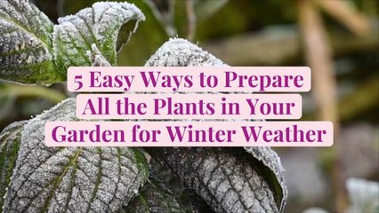 5 Easy Ways to Prepare All the Plants in Your Garden for Winter Weather