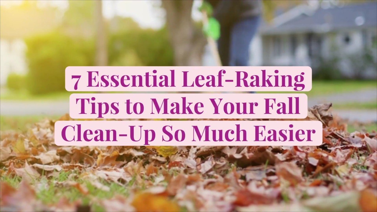 7 Essential Leaf-Raking Tips to Make Your Fall Clean-Up So Much Easier