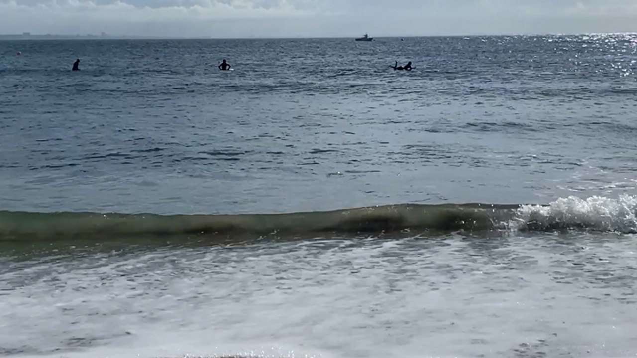 Beach Footage - LA