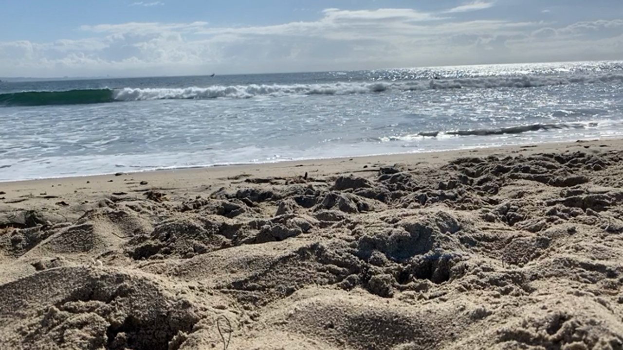 Beach Footage - LA