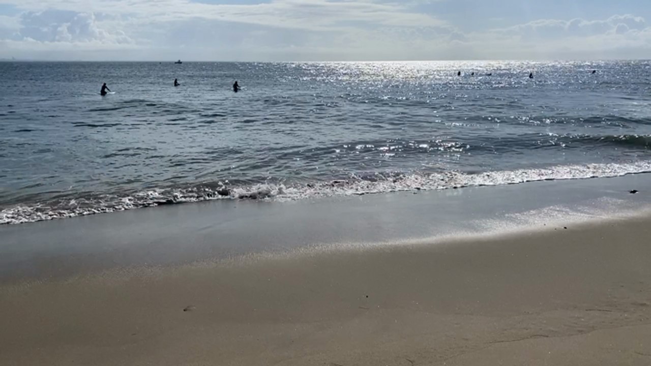 Beach Footage - LA