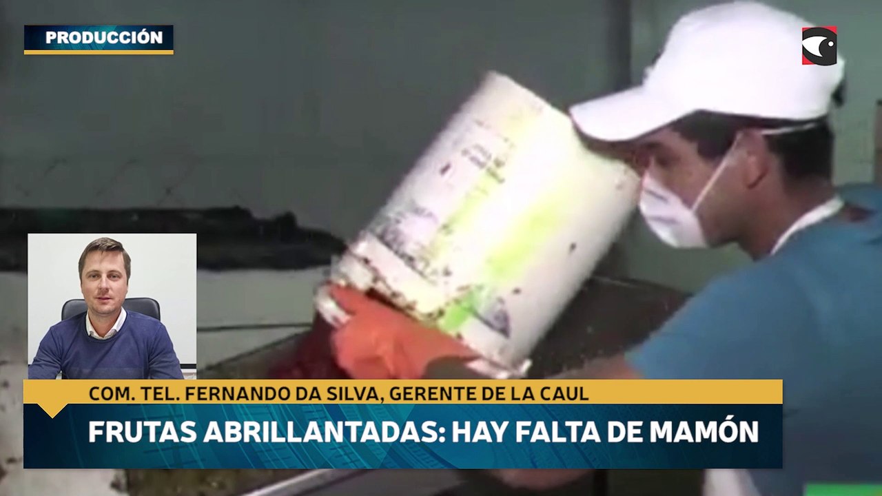 Producirán fruta abrillantada con sandia (corto)
