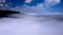 Aerial footage shows remarkable glimpse of undisturbed 'fog oasis'