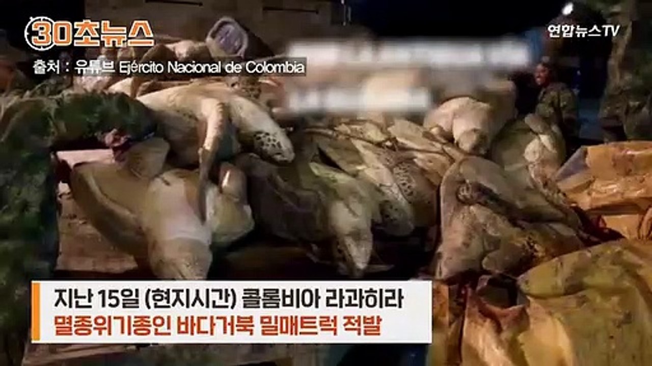[30초뉴스] '밀매 적발' 멸종위기 바다거북 41마리 구조