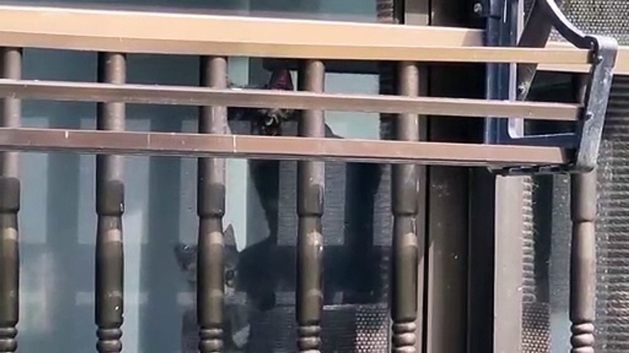 頂上決戦ー高い場を狙え