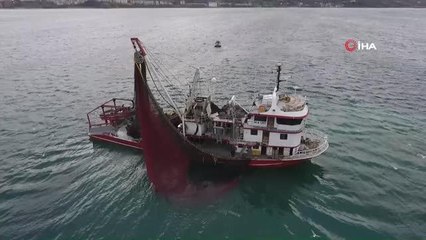 Hamsinin fiyatı dibi gördü: 7,5 lira