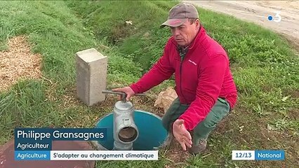 Côte-d'Or : les agriculteurs de Dijon s'adaptent au changement climatique
