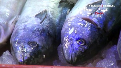 Lakerdalar 2 kiloluk kavanozlarda 400 liradan satışta