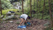 Solo Bushcraft   First Time Jungle Challenge, Camping, Alone Overnight   Wild Beauty