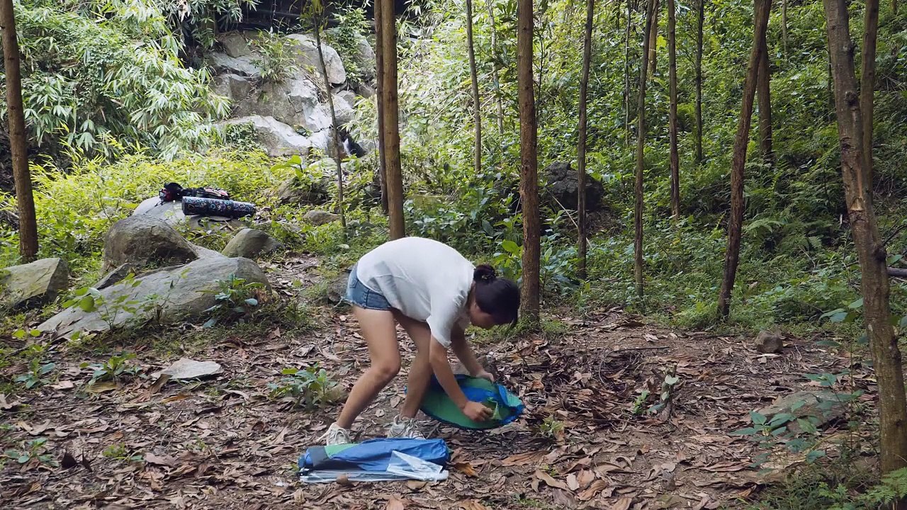 Solo Bushcraft   First Time Jungle Challenge, Camping, Alone Overnight   Wild Beauty