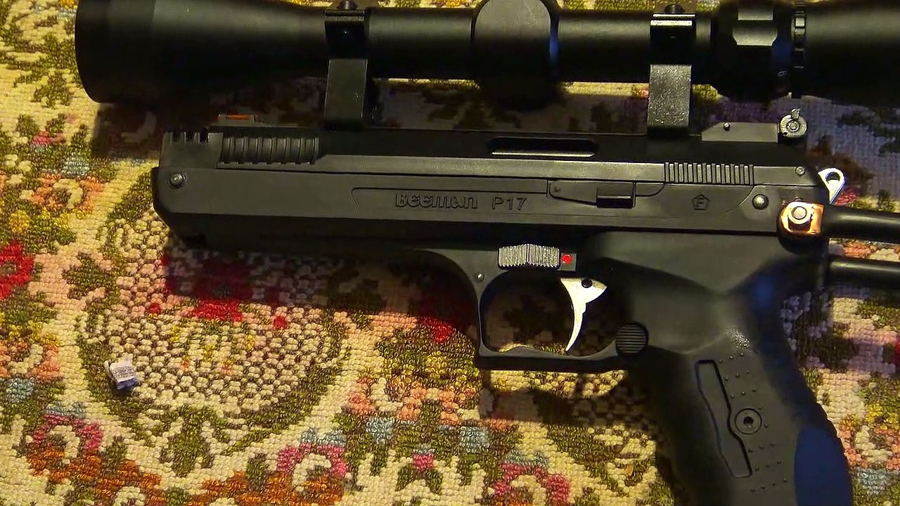 Test Beeman P17  accuracy