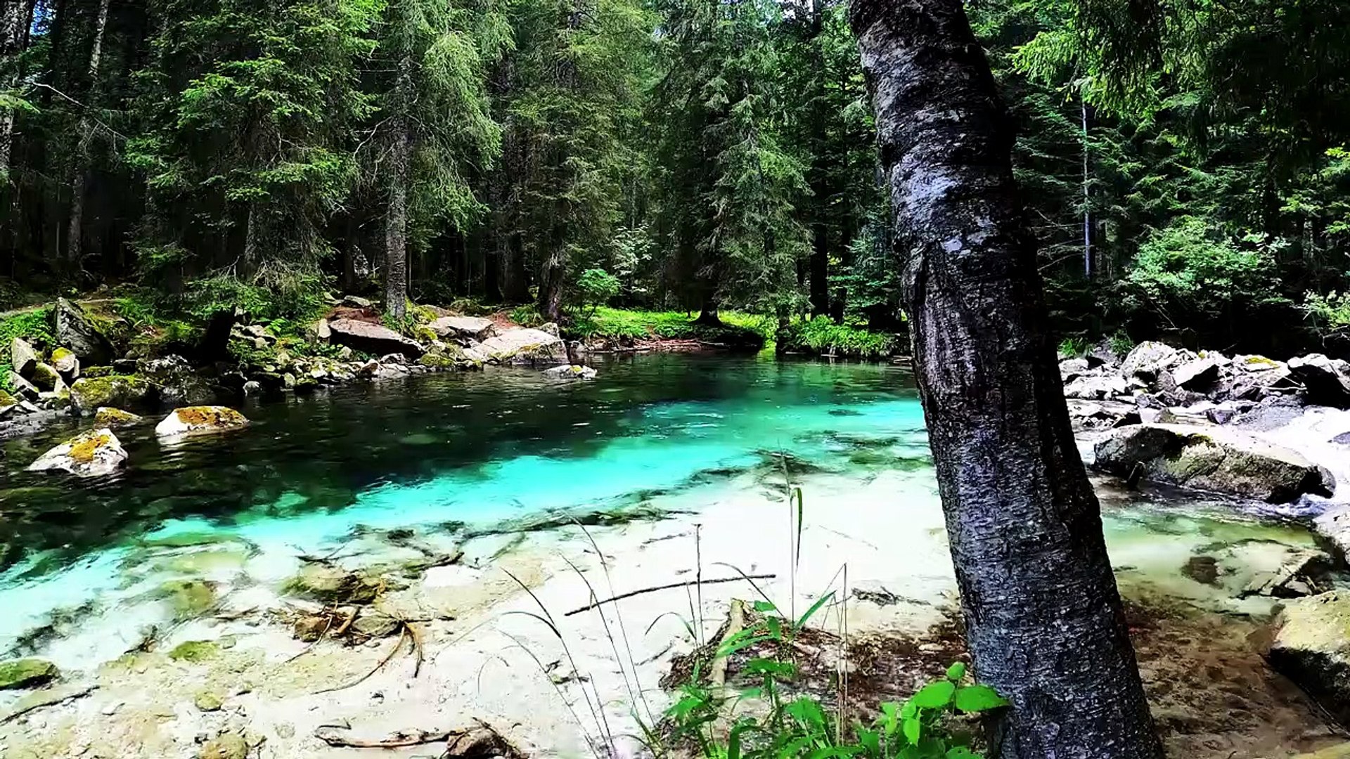 ⁣Study Music, Concentration, Focus Music, Relaxing Music, Meditation, Work, Calm Music, Studymusic 20