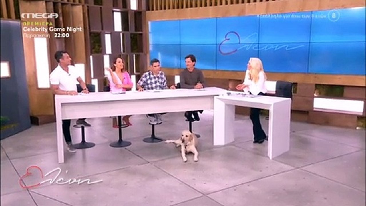 «Κάγκελο» η Μενεγάκη: Έβαλε τα ίδια ρούχα με εκείνη: «Το κάνεις επίτηδες - Με κατασκοπεύεις»