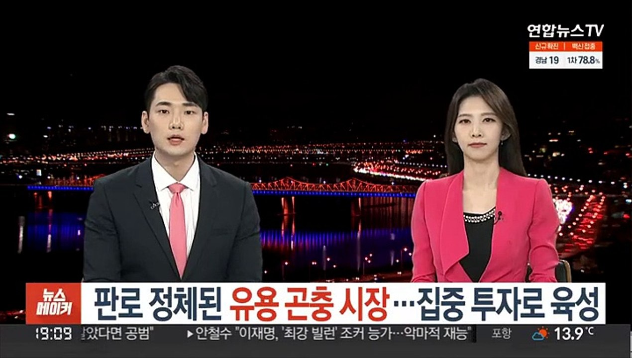 판로 정체된 유용 곤충 시장…집중 투자로 육성
