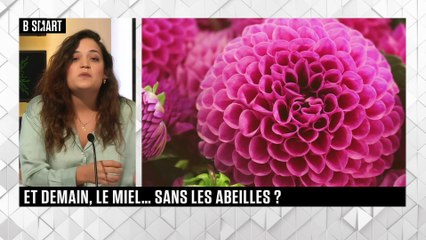 SMART TECH - Et Demain ? du mardi 19 octobre 2021