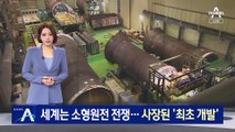 세계는 소형원전 전쟁…한국, 최초 개발하고도 ‘제자리’