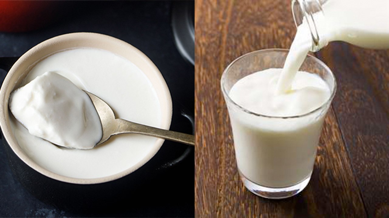 Curd Vs Milk: क्या है ज्यादा फायदेमंद ? | Curd Vs Milk Benefits | Boldsky