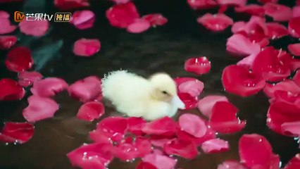 My Dear Brothers  Ep5 ENG SUB