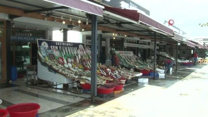 "Yağışlar devam ederse hamsi 15 TL'ye kadar düşer"