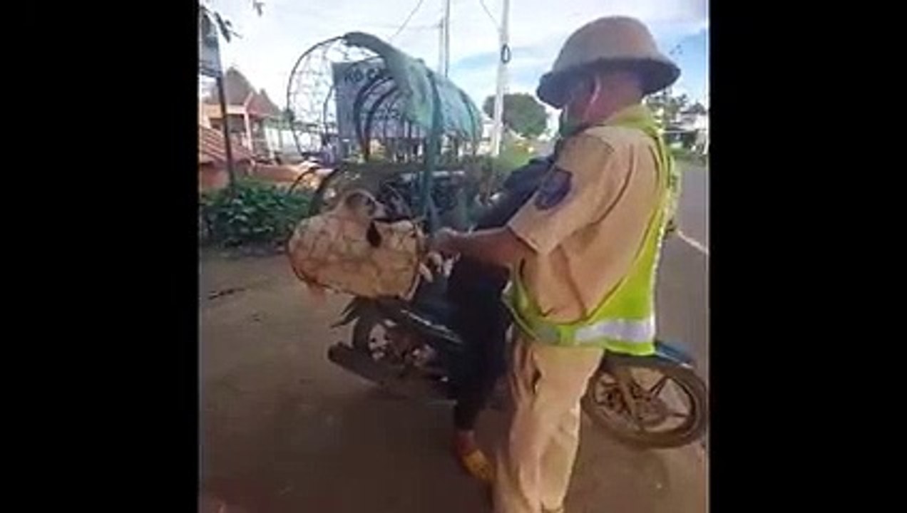 Anh CGST giải cứu hàng trăm chú chó trên đường bị bán đến lò