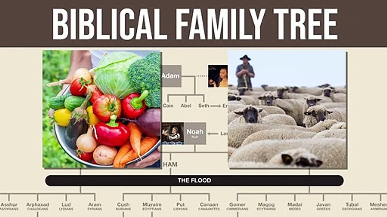 Biblical Family Tree 1 - Adam to David