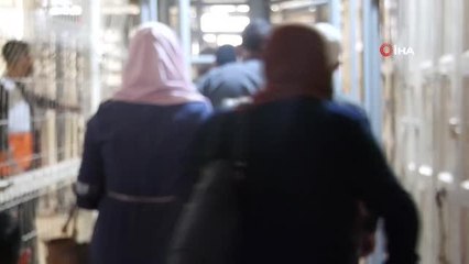 Binlerce Filistinli, Mevlit Kandili etkinlikleri için Harem-i İbrahim Camisi'ne akın etti