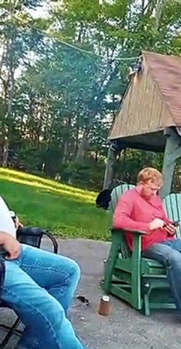 Black Bear Snoops Around Campsite