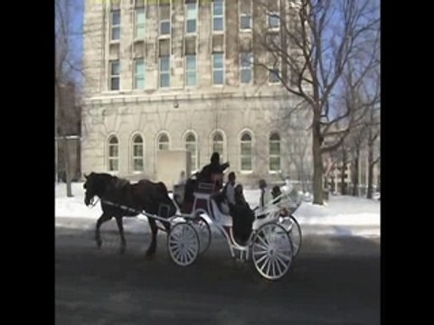 Carnaval de Quebec 2008 PART 1-Quebec 2008 carnival
