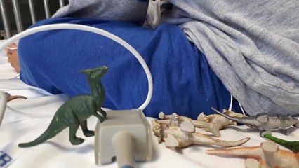 A Napoli terapia genica restituisce vista a 10 bimbi