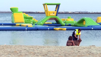 "Beach party" en Arabie saoudite: soleil, mer et... mixité