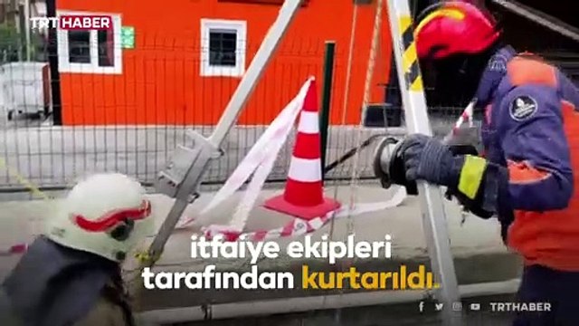 Kanalizasyon çukuruna düşen kediyi itfaiye kurtardı