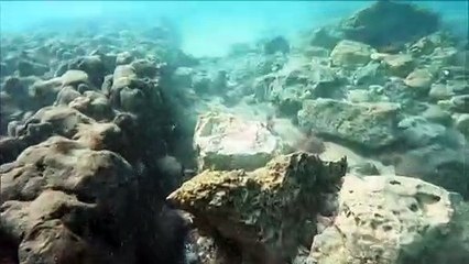 Israël : il découvre une épée qui aurait pu appartenir à un chevalier croisé