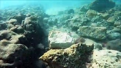 شاهد | غواص إسرائيلي يكتشف سيفاً عمره نحو 900 عام يعود للحقبة الصليبية