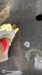 Man Saves Fish...Kind Of