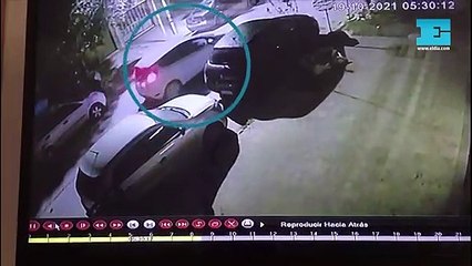 La banda del Fiesta Blanco: los robaruedas que acechan en el casco urbano platense