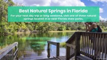 Best Natural Springs in Florida