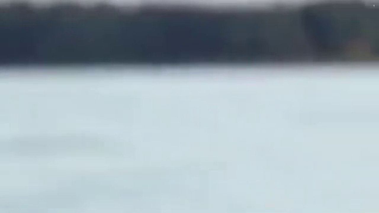 The Curse of Oak Island Drilling Down Season 08 Episode 08 ( October 15, 2021 Full HD )