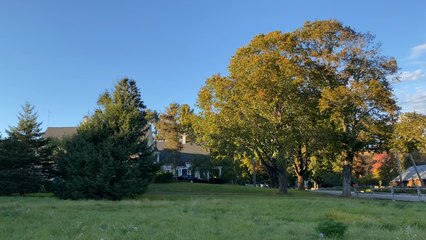 Footage of Changing Leaves