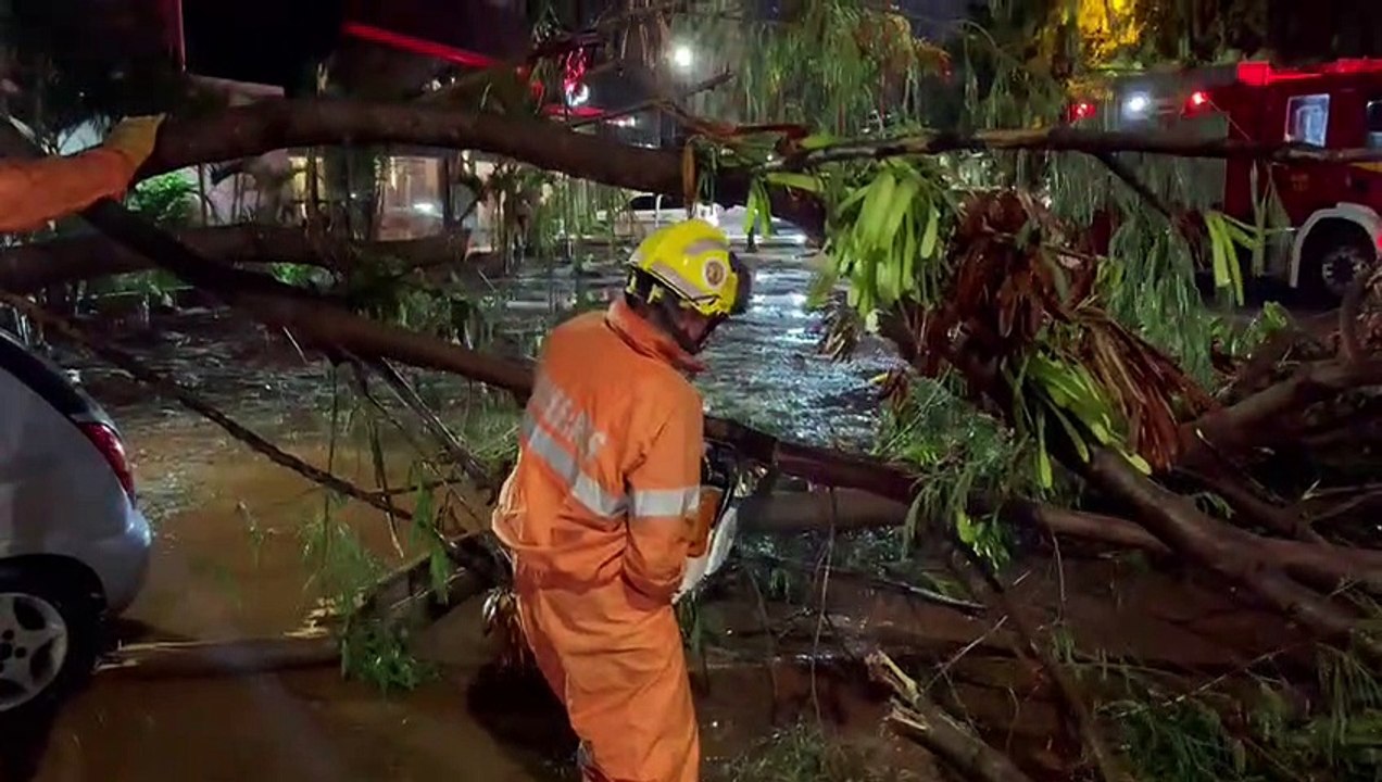 Galho de árvore cai em cima de um carro após chuva no DF