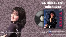 Anica Milenkovic - Hiljadu reci, milion suza - (Official Audio 1994)