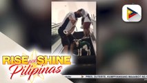 Si Jay, ang kambing na trending dahil sa pamamasyal sa mall
