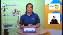 #AprendoEnCasa Ciencias: Materiales conducatores de corriente eléctrica  (Quinto Año - Primaria)