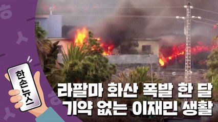 [15초뉴스] 라팔마 화산 폭발 한 달...기약 없는 이재민 생활 / YTN