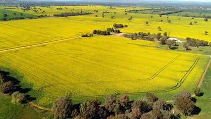 Nationals yet to agree to 2050 net zero emissions deal