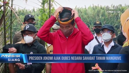 Presiden Jokowi Tanam Mangrove Bersama Para Dubes Negara Sahabat