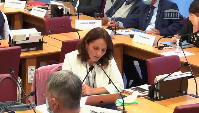 Commission des affaires étrangères : Avis budgétaires sur le projet de loi de finances pour 2022, Crédits de la mission Défense, Crédits de la mission Immigration, asile et intégration - Mardi 19 octobre 2021