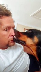 Dog Feels Comfortable Getting in Close